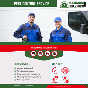 Residential Pest Control Services