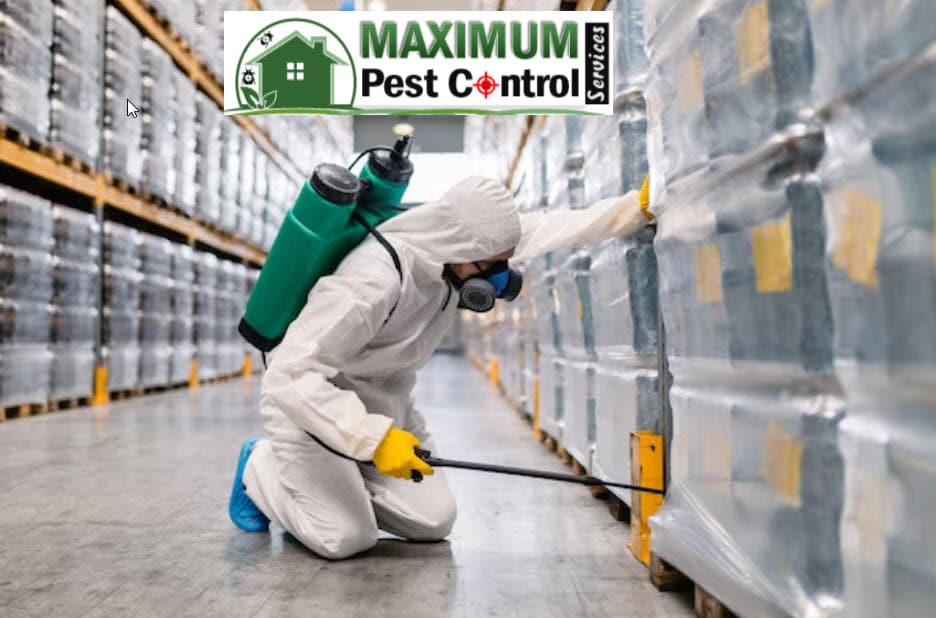 commercial pest control 