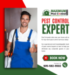 Residential Pest Control Extermination Consultation