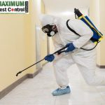 Why Chose Maximum Pest Control Services