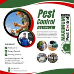 The Battle Against Pests Call Maximum (905) 582-5502