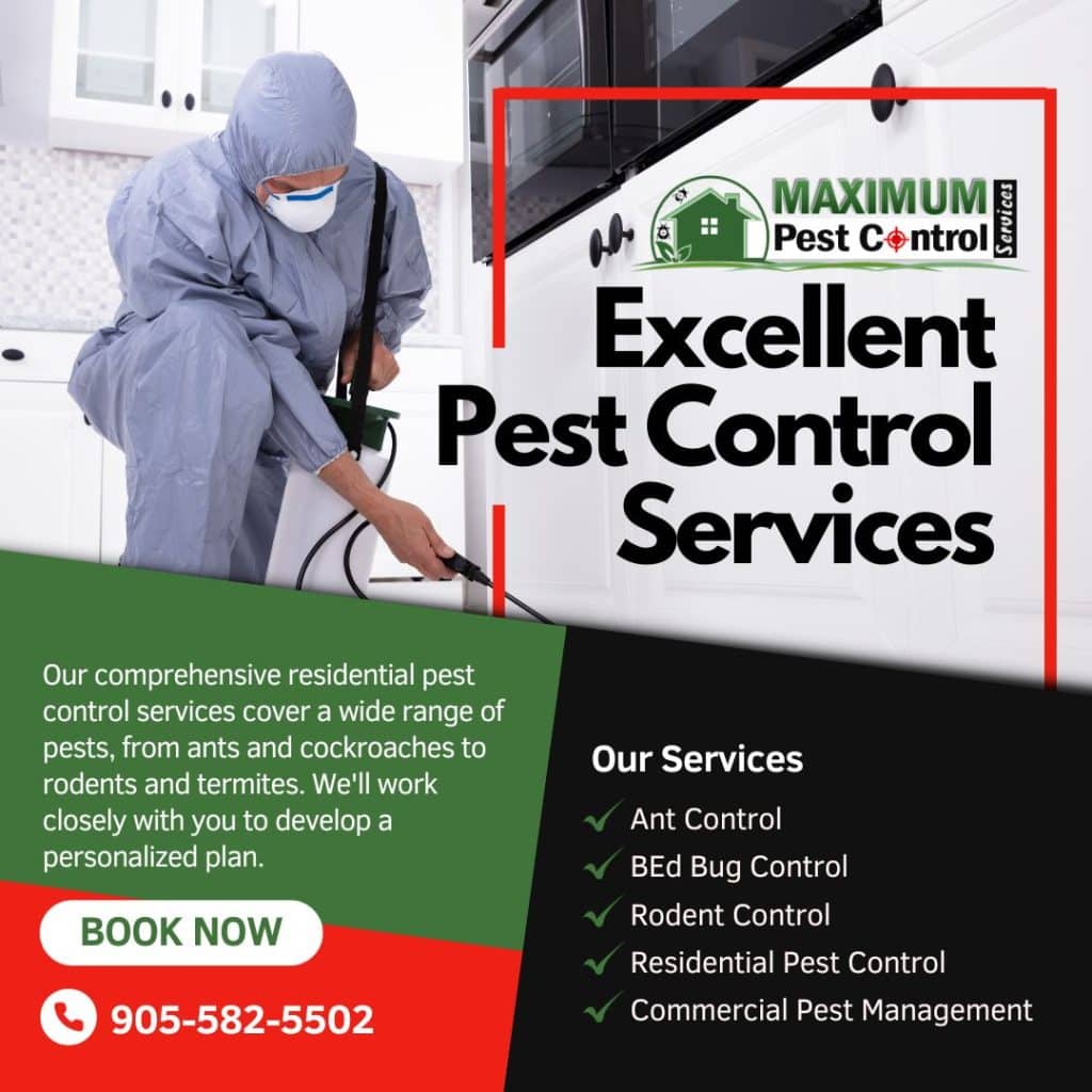 How to Safely and Effectively Control Mice and Cockroaches in Your Home and Business
