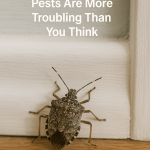 Why Overwintering Pests Are More Troubling Than You Think