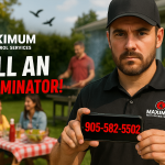 Why Pest Control Professional Help is Essential for Your Home