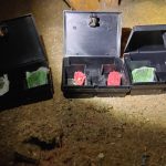 Avoid a Mouse Infestation in Your Attic This Winter