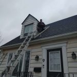 Mice Exclusion in Burlington at Work Call 905-582-5502