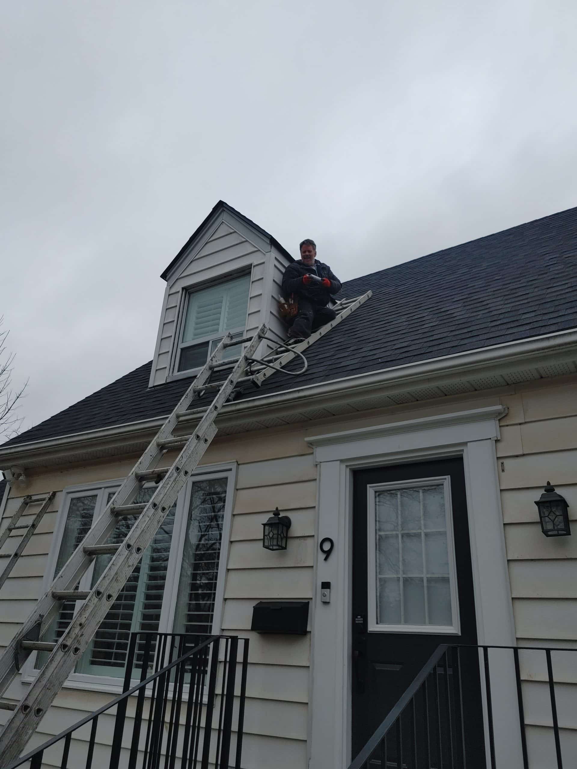 Mice Exclusion at Work