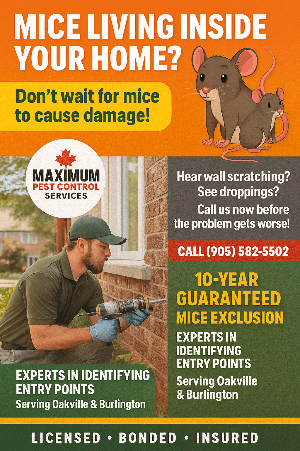 Mice Exclusion Service 905-582-5502