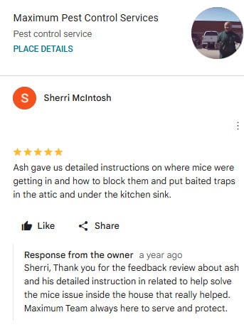 Google Review By Sherri Mcintosh