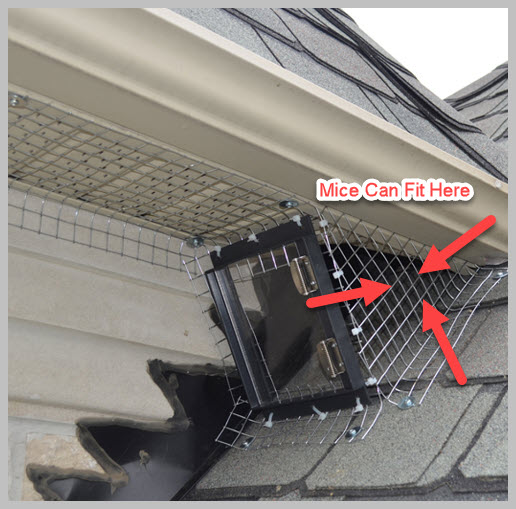 Mice can fit within the 1-inch mesh wire